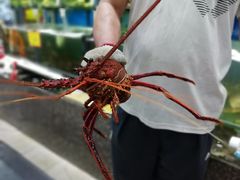 -蚝专家(北滘店)