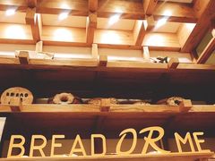 -面包与我Bread Or Me(长城汇店)