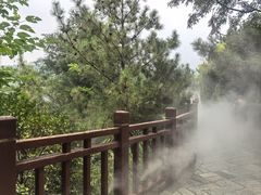 -徂徕山森林康养度假谷温泉