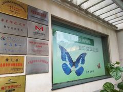 -上海昆虫博物馆