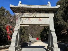 -泰山风景名胜区