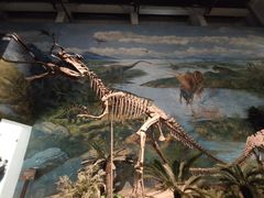 -自贡恐龙博物馆