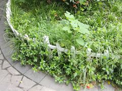 -苏州河梦清园环保主题公园