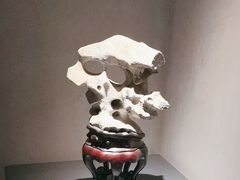-觀芷隐轩