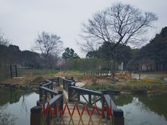 -无锡梅园公园