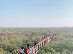 -北海金海湾红树林生态旅游区