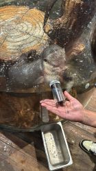 -Zoolung Zoolung动物主题公园(海信广场店)