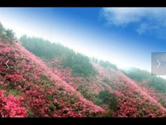-木兰云雾山
