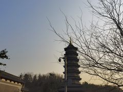 -重庆园博园