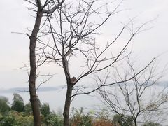 -天目湖涵田半山温泉