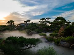 -罗红摄影艺术馆