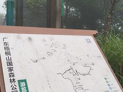 -梧桐山风景名胜区