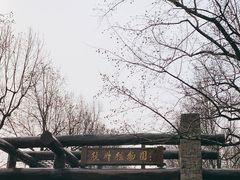 -杭州植物园