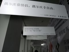 -成都失恋馆
