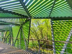 -西湖风景区-江洋畈生态公园