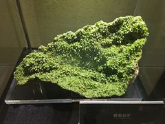 -中华赏石园