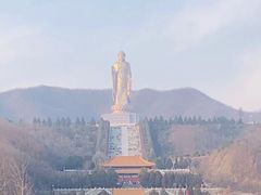 -中原大佛景区