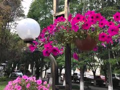 -西昌邛海宾馆