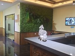 -宠颐生斯嘉宠物医院·急重症·心内科(谷阳北路分院)