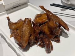 -琬苑鸽庄·川粤融合菜(解放碑总店)