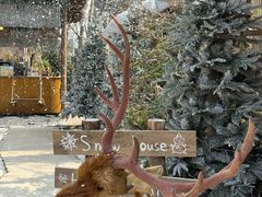 -HERRE·FARM 赫尔露营农场·团建聚会包场