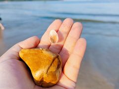 -西涌国际滨海旅游区