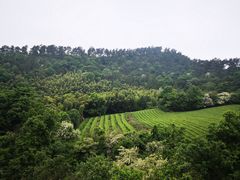 -敬亭山风景名胜区