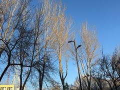 -哈尔滨文化公园