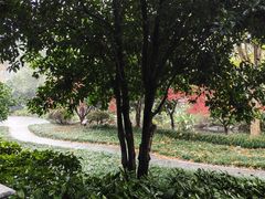 -杭州西溪喜来登度假大酒店