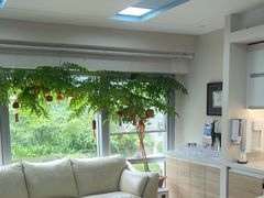 -精德口腔·种植修复·儿牙中心(财富中心店)