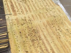 烤糖煎饼-勃利地摊·勃立小串烧烤