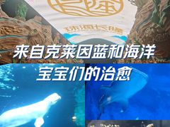 -珠海长隆海洋王国