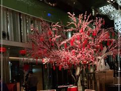 -金轩中餐厅 Jin Xuan(浦东丽思卡尔顿酒店)