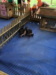 -萌宠亲子动物乐园(槐房万达店)