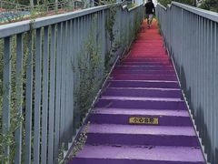 -北戴河集发农业梦想王国
