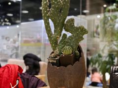 -藏猫猫咖啡主题馆(中央大道店)