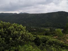 -大姆山草场