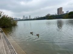 -南宁南湖公园