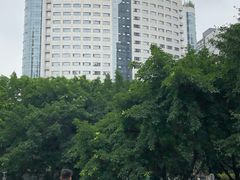 -重庆医科大学附属第一医院(本部)