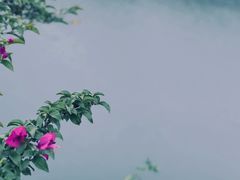 -铜锣山矿山公园