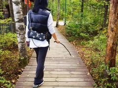 -峡谷浮石林景区