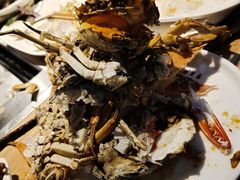 -苏格里岛自助海鲜烤肉(青秀万达店)