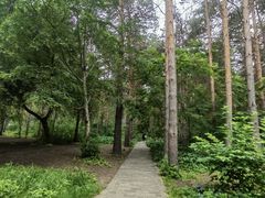-黑龙江省森林植物园