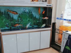 -上海仁爱医院
