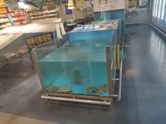 -麦德龙(京顺路商场店)