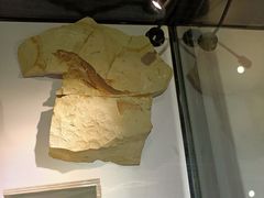 -房山世界地质公园博物馆