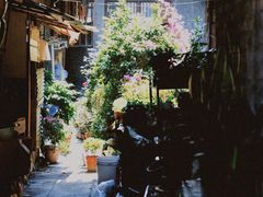 -老字号怡玺·藿香雅鱼(20年雅安店)