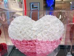 -ROSEONLY诺誓(广州K11店)