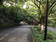 -杭州香格里拉饭店