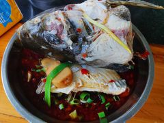 鱼头-老杨砂锅鱼庄